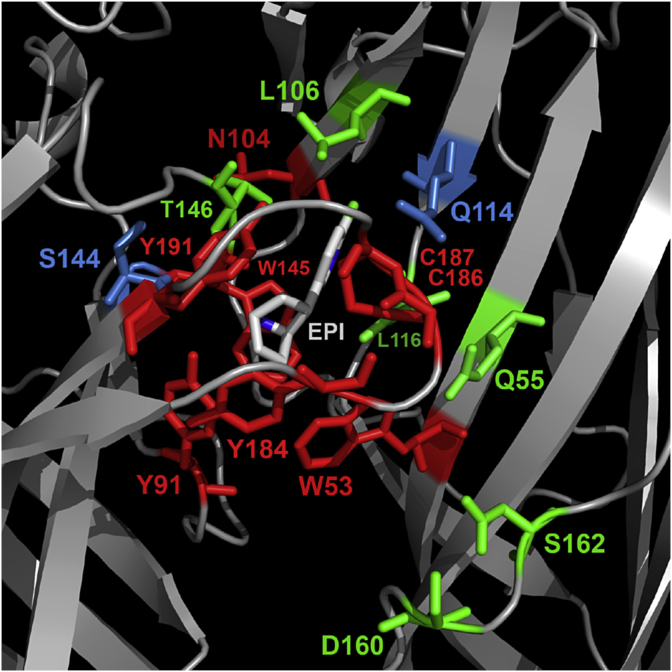 Fig. 4