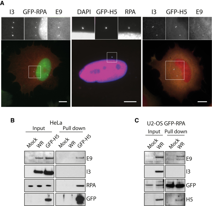 Figure 6