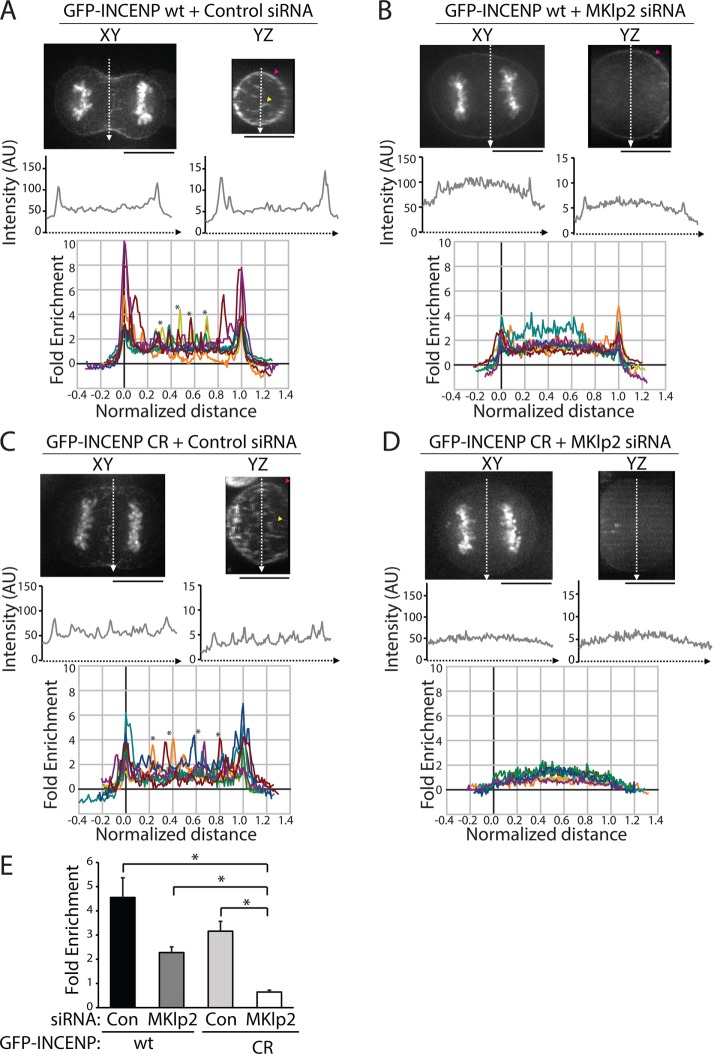 FIGURE 3: