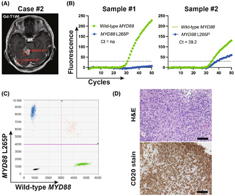 graphic file with name CAS-114-2544-g003.jpg