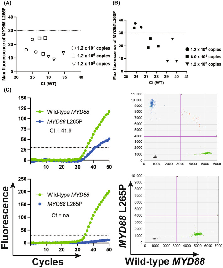 FIGURE 2