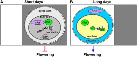 Figure 9.