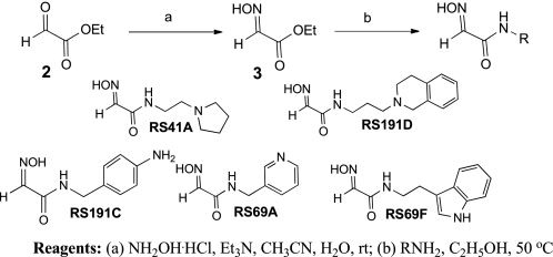 SCHEME 2