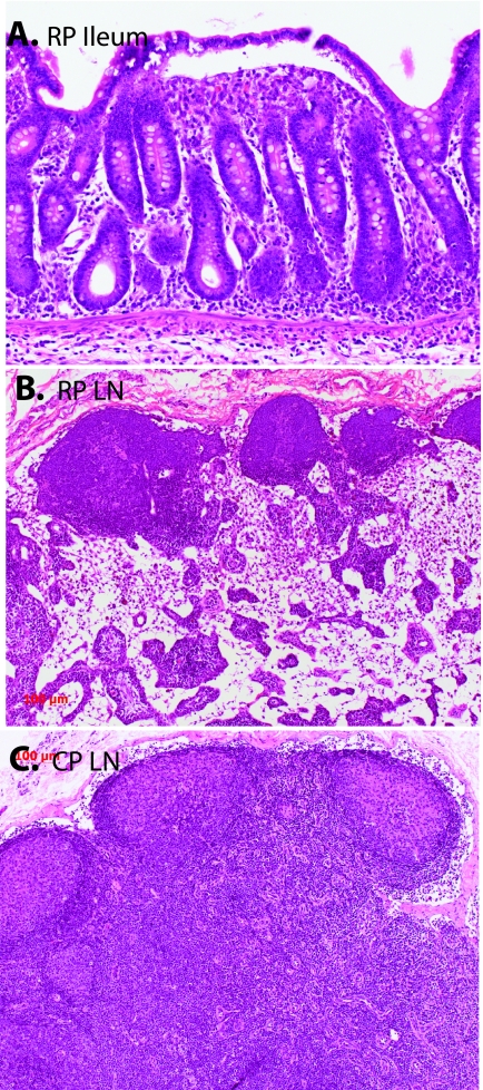 FIG. 1.