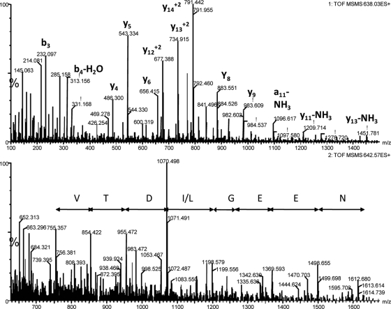 Fig. 10.