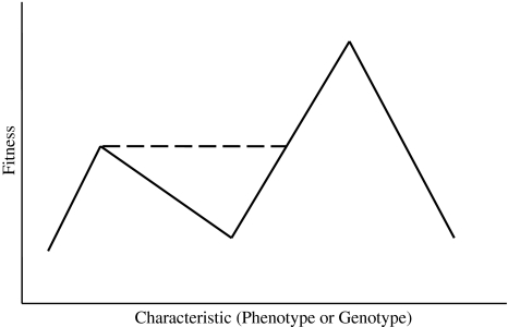 Fig. 1