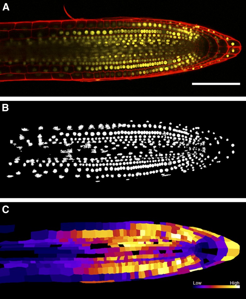 Figure 2.