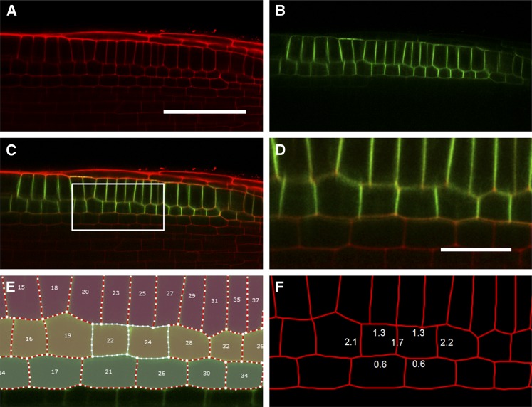 Figure 3.