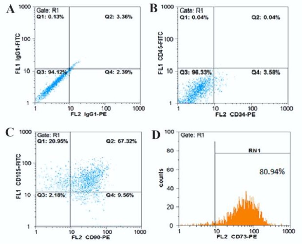 Figure 2.