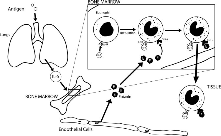 FIGURE 13.4.2
