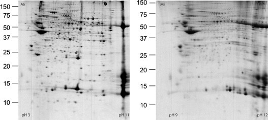 FIGURE 13.2.1