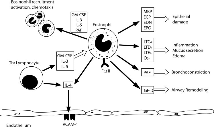 FIGURE 13.4.1