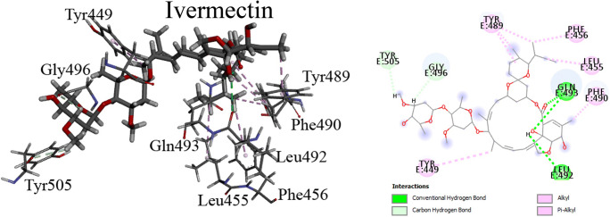 Fig. 2