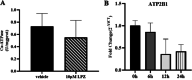 Fig. 12