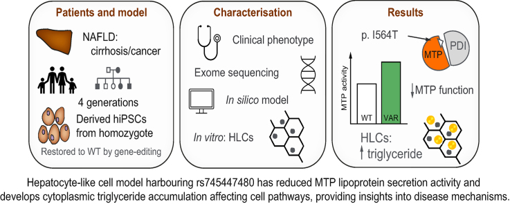 graphic file with name ga1.jpg