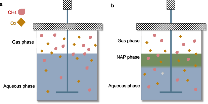 Fig. 3