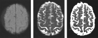 F<sc>ig</sc> 3.