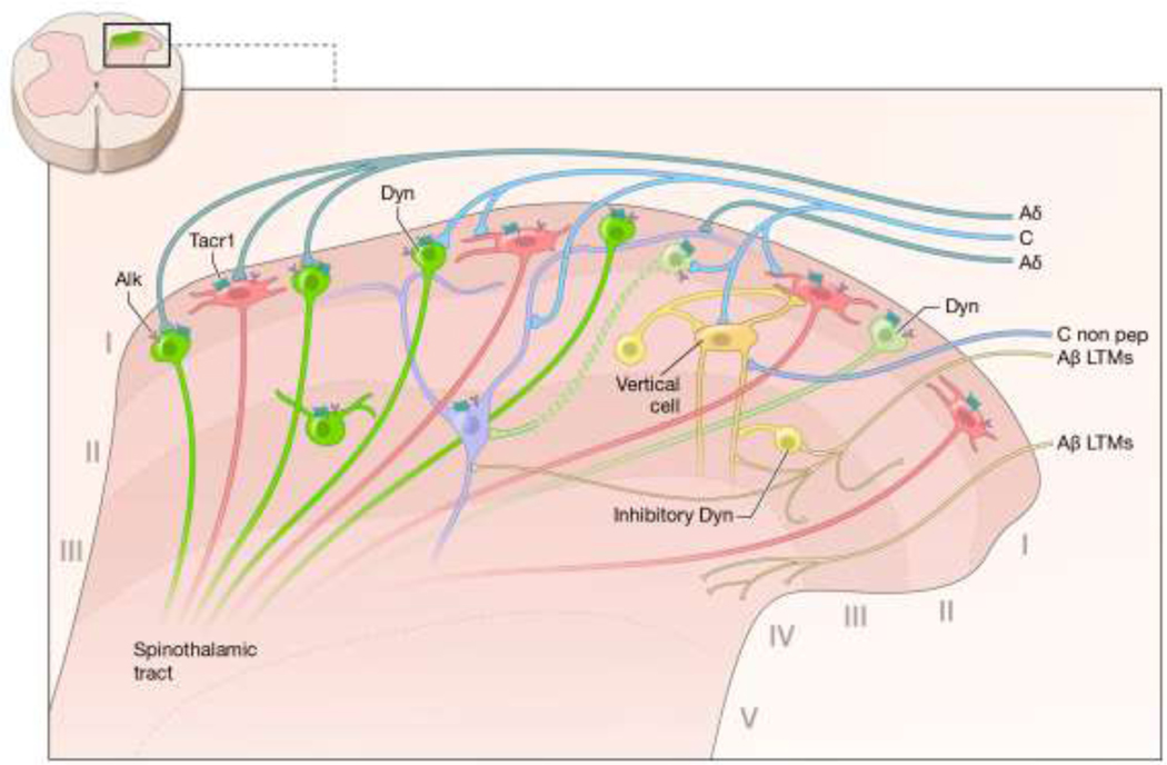 Figure 10.