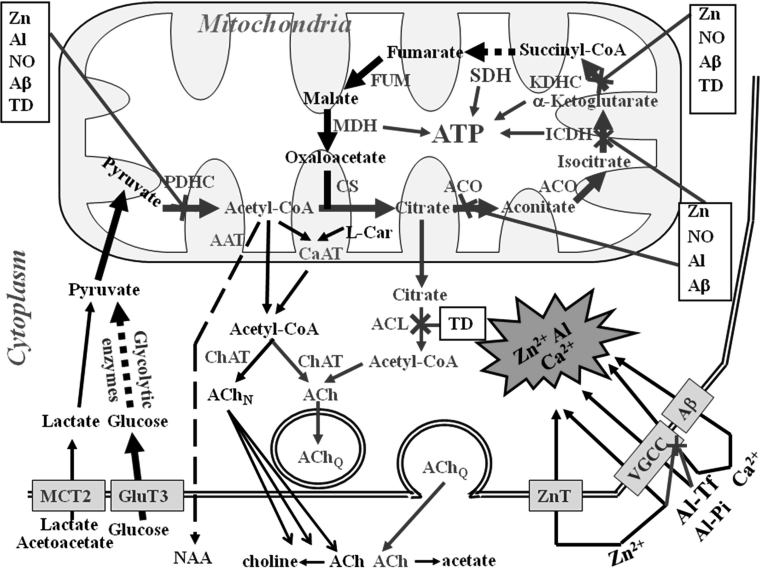 Fig. 1