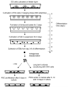 Figure 2A