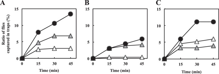 FIG 7