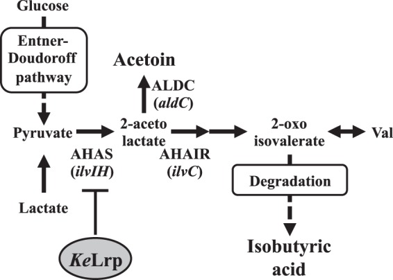 FIG 1