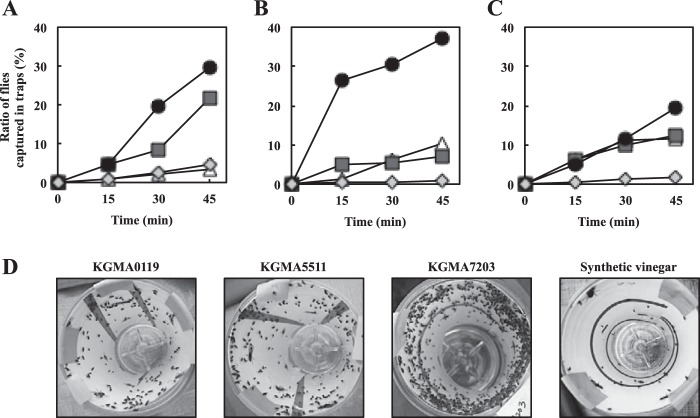 FIG 6