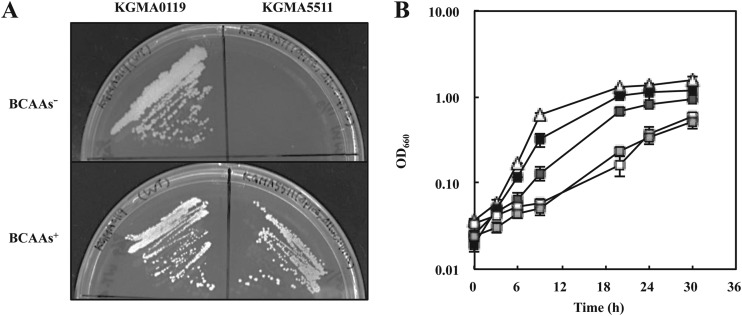 FIG 3