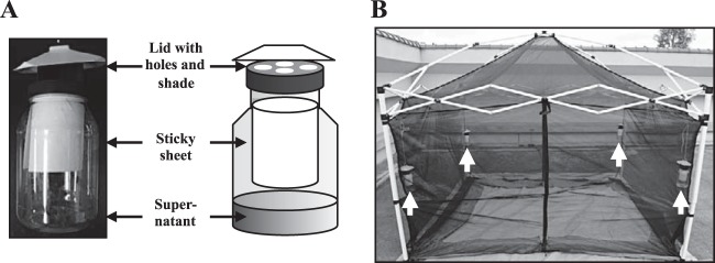 FIG 2