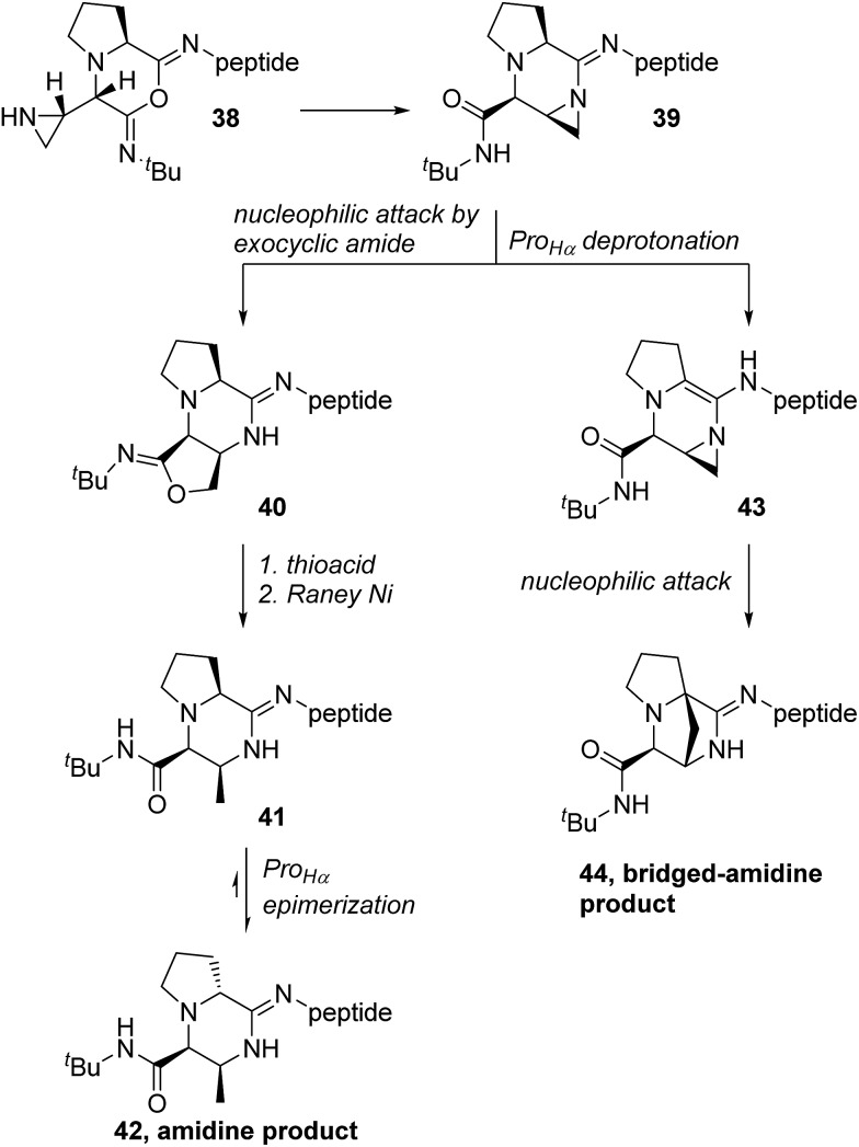 Scheme 9