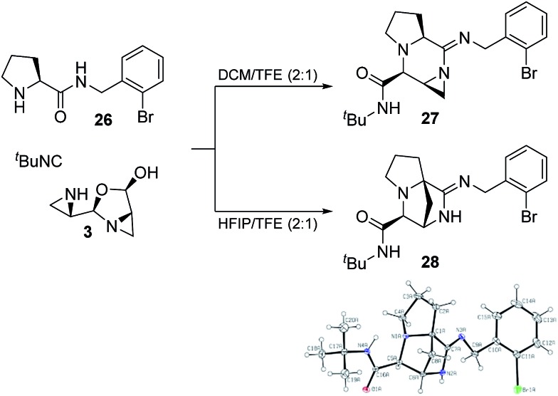 Scheme 5