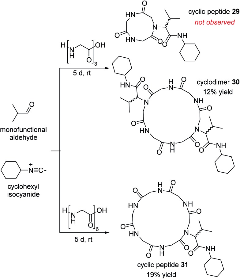 Scheme 6