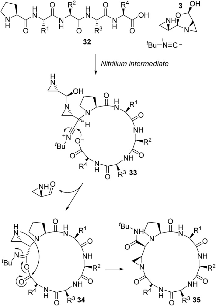 Scheme 7