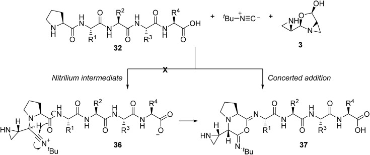 Scheme 8