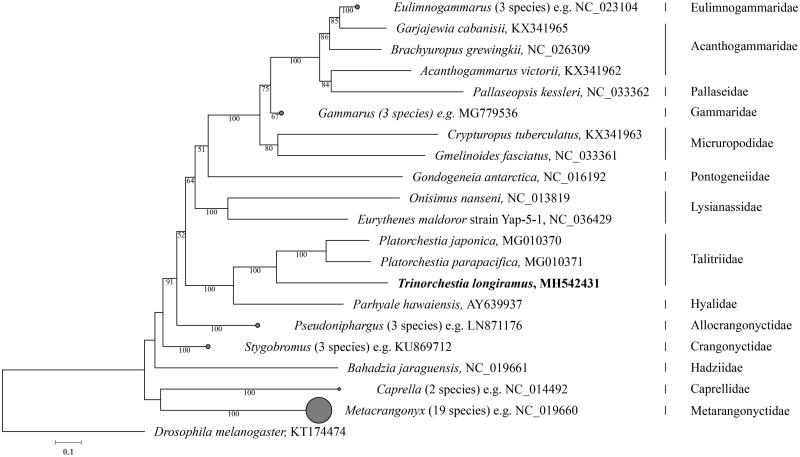 Figure 1.