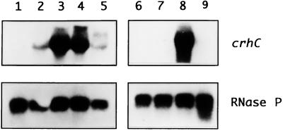 FIG. 1