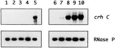 FIG. 6