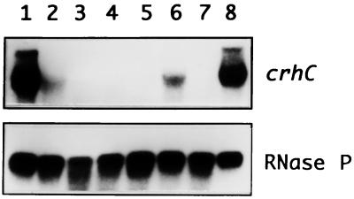 FIG. 5