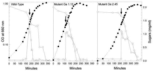 FIG. 6