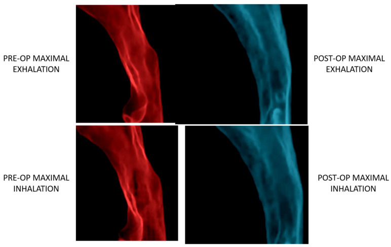 Figure 8
