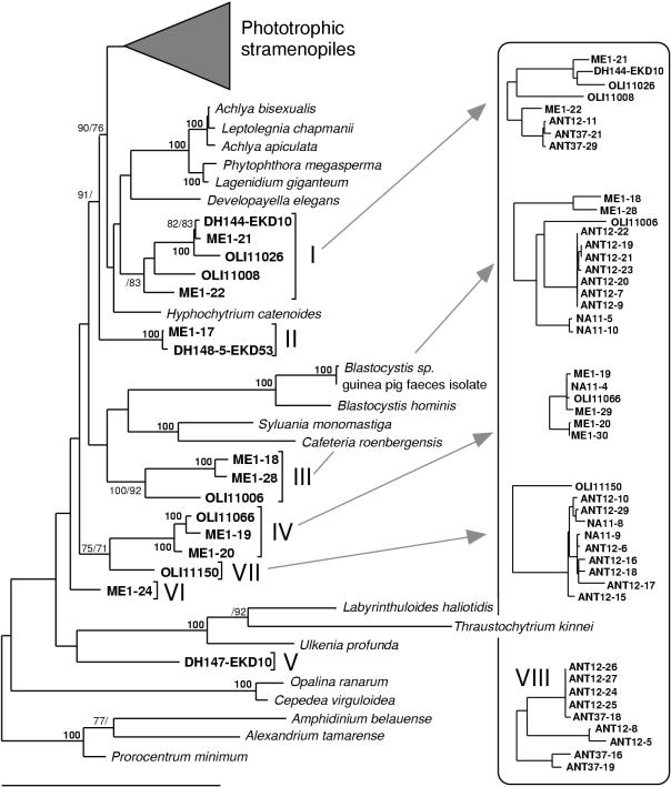 FIG. 1.