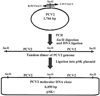 FIG. 1.