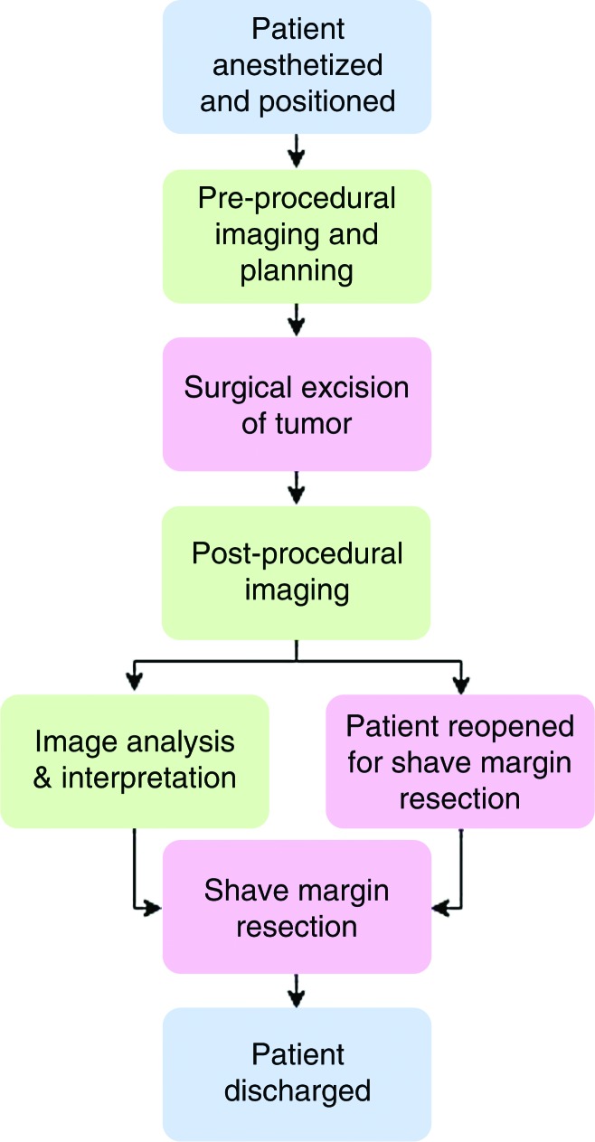 Figure 1: