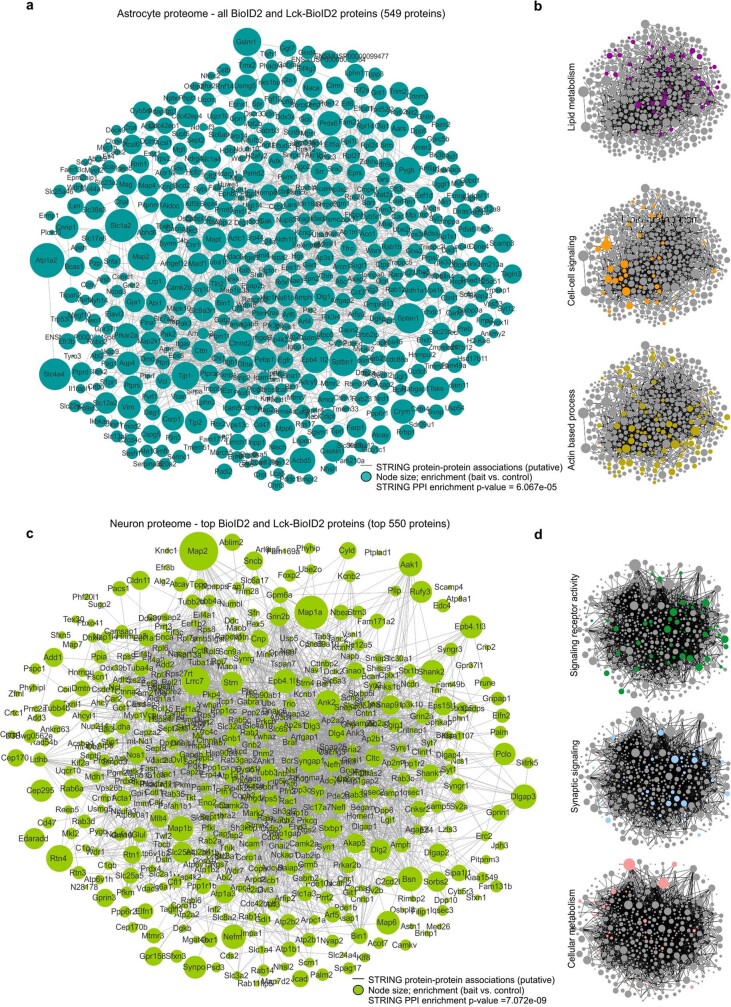 Extended Data Fig. 6