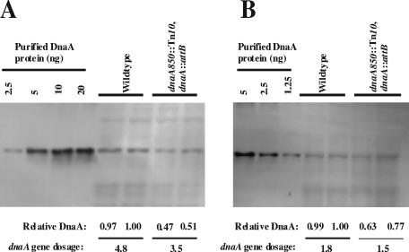 FIG. 8.