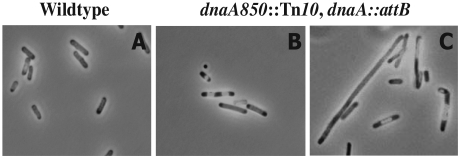 FIG. 7.