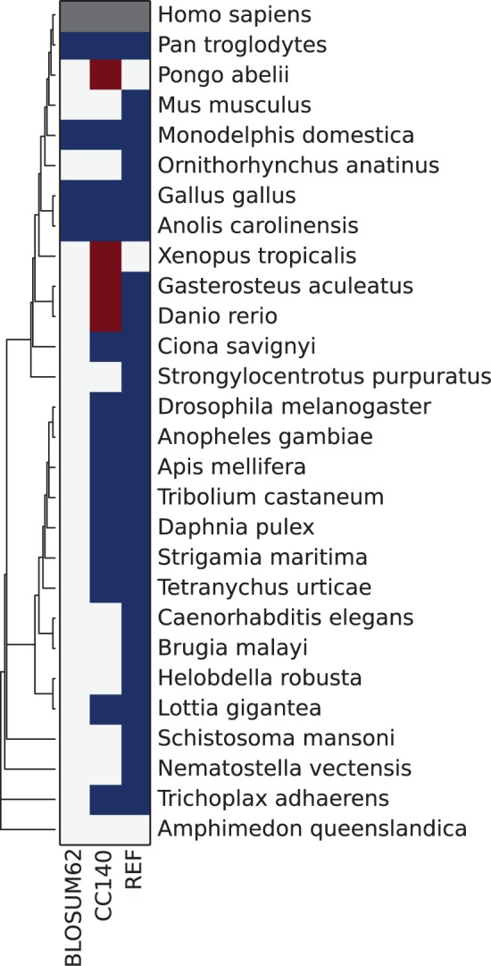 Fig. 6.—