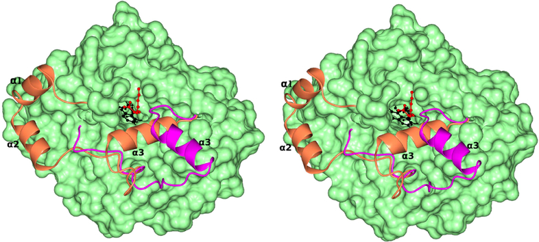 Fig.15.