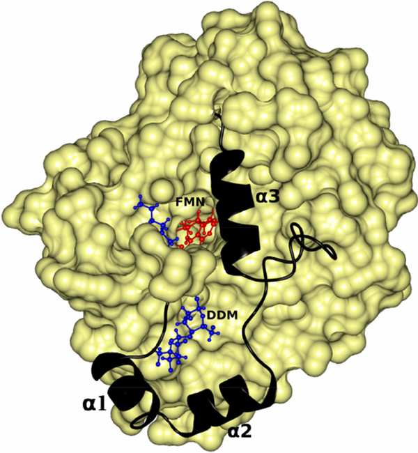 Fig.6.