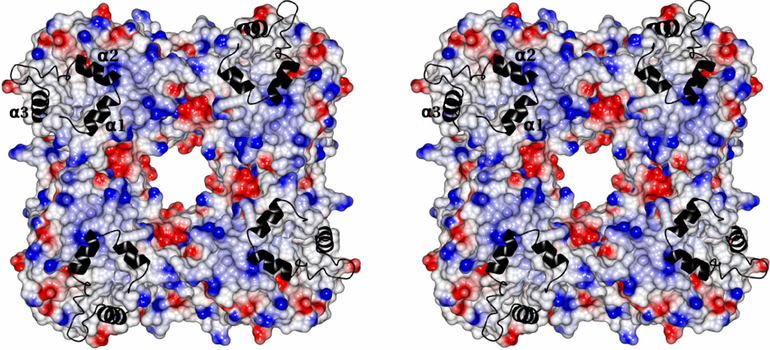 Fig.14.